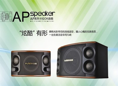 派對屋AP系列卡拉OK音箱_聊城音響_聊城雷石點歌系統_聊城寶迪奧音響_聊城市匯聲音響設備