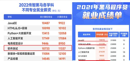 軟件開發與軟件測試 如何選擇適合你的網絡技術服務職業道路？